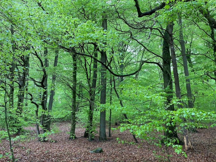 Traumhafte Ferienwohnung Im Landhausstil Hanshagen  المظهر الخارجي الصورة